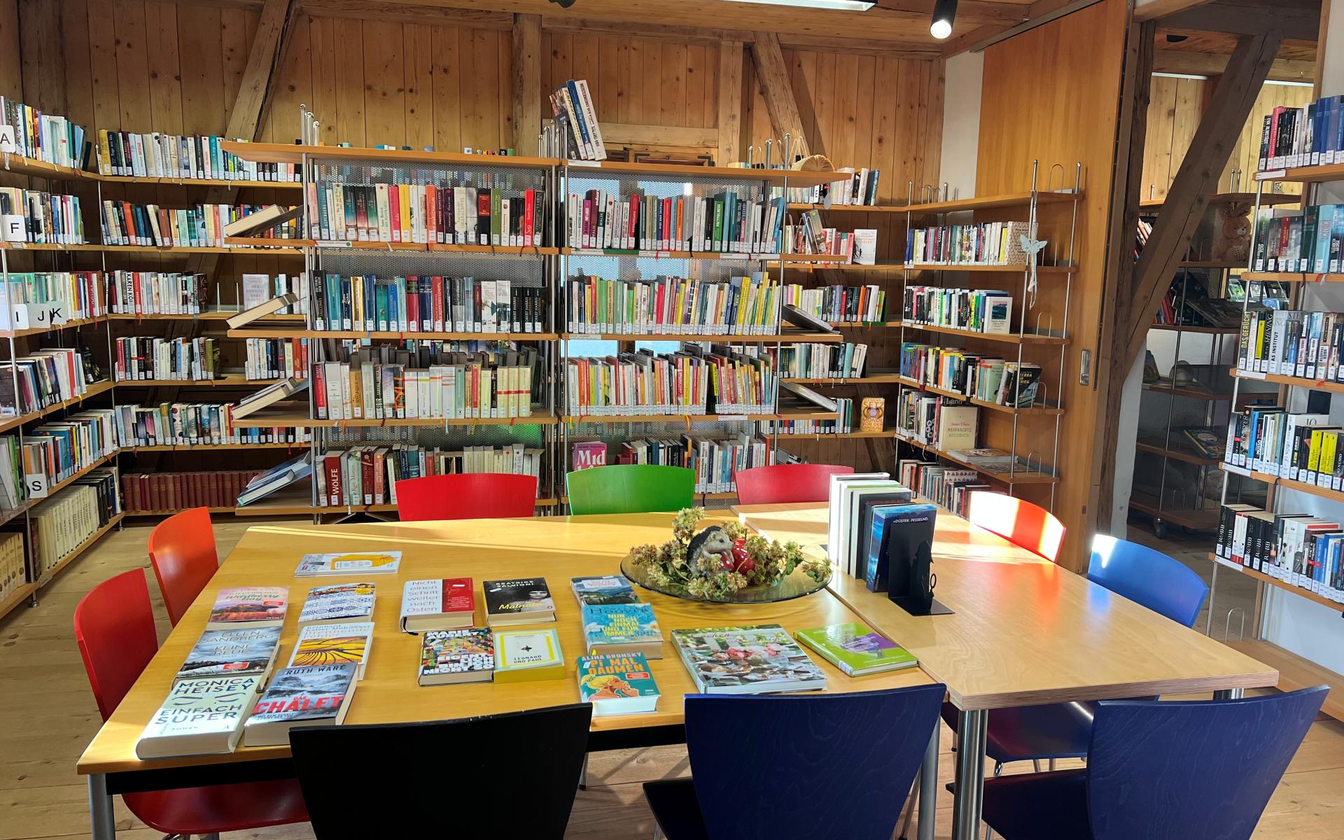 Bücherei im Vonblonhaus Thüringen